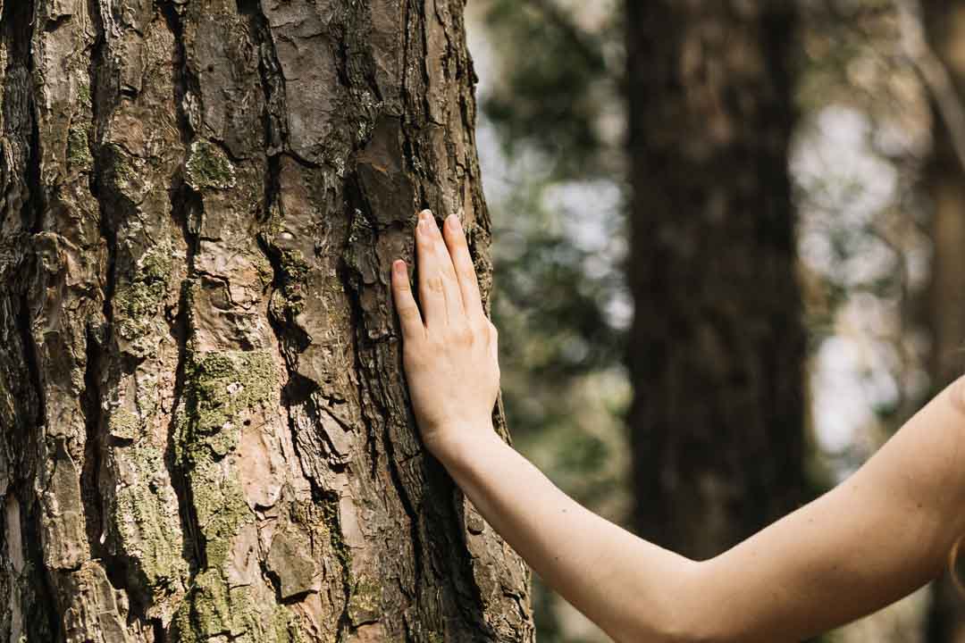 mujer-tocando-arbol-con-la-mano